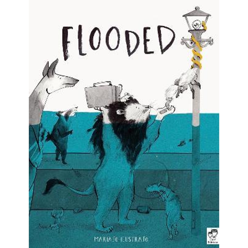 预订，预计下单后2-3周左右发货！