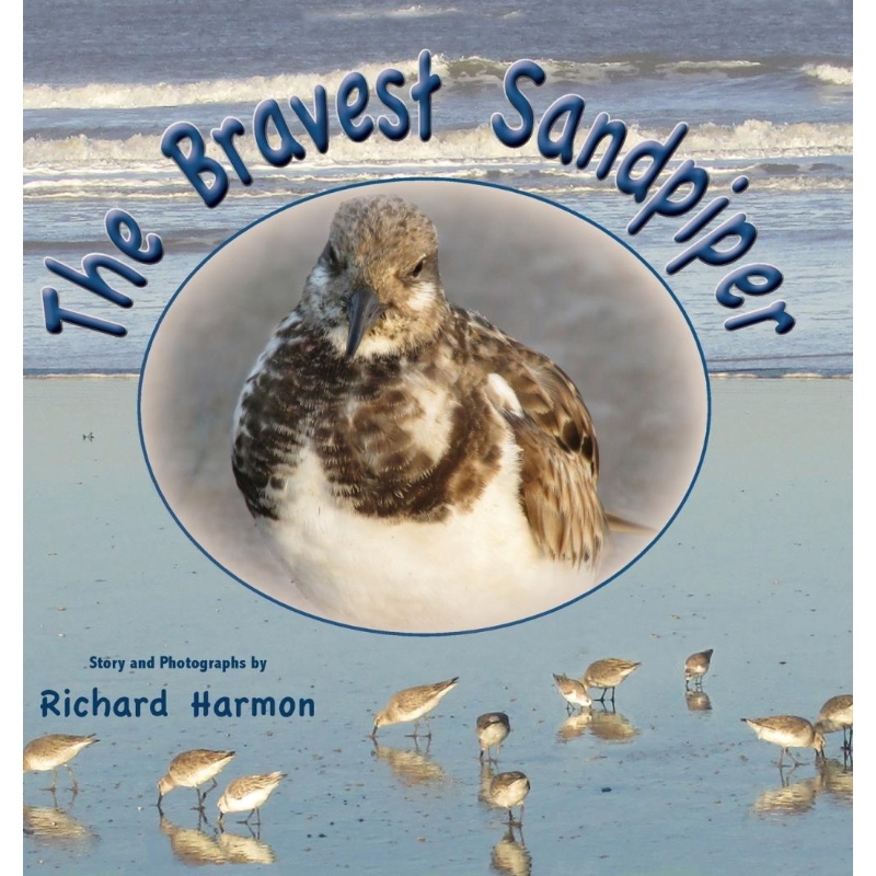 预订，预计下单后2-3周左右发货！