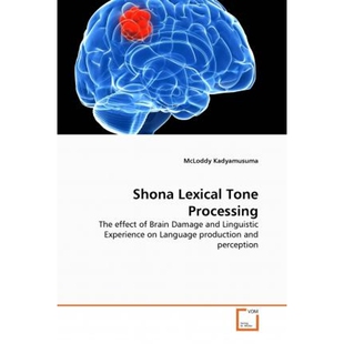 Processing 按需印刷Shona Tone Lexical 9783639373929