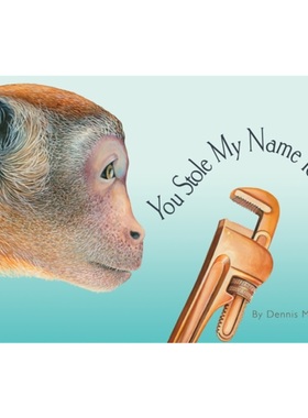 预售[2025新书]YOU STOLE MY NAME TOOLS[9781958803929]