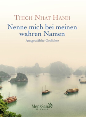 预订【德语】Nenne mich bei meinen wahren Namen[9783426656747]