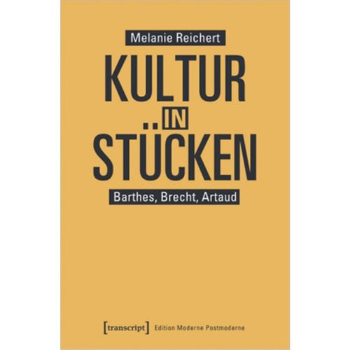 预订，预计下单后3-6周左右发货！