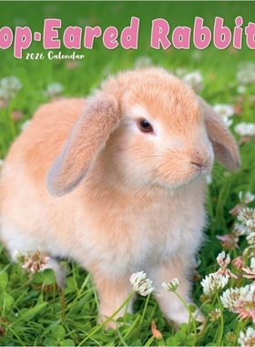 预订Rabbits - Lop Eared Calendar 2026  Square Animal Wall Calendar - 16 Month[9781804607480]
