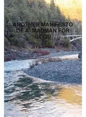 按需印刷不退不换ANOTHER MANIFESTO OF A MADMAN FOR GOOD[9780578110189]