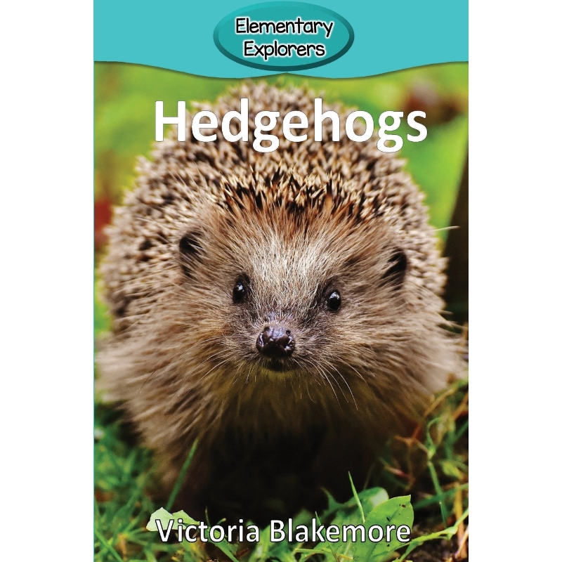 预订，预计下单后2-3周左右发货！