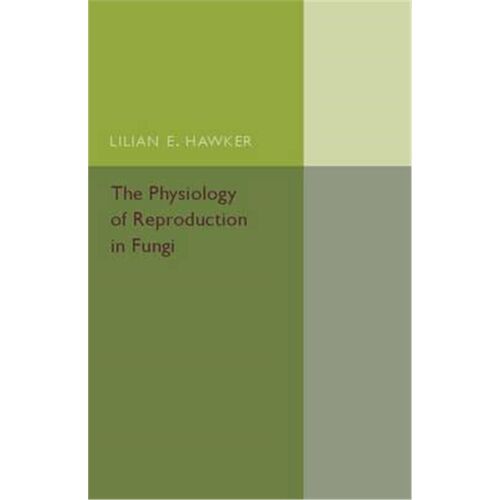 预订，预计下单后3-4周左右发货！