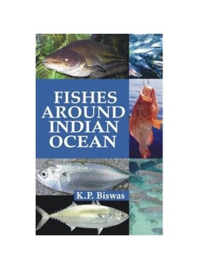 现货Fishes Around the Indian Ocean