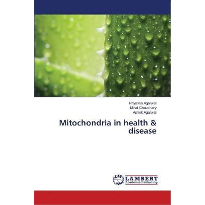 预订，预计下单后3-4周左右发货！