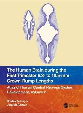 预订Human Brain during the First Trimester 6.3- to 10.5-mm Crown-Rump Lengths[9781032183275]