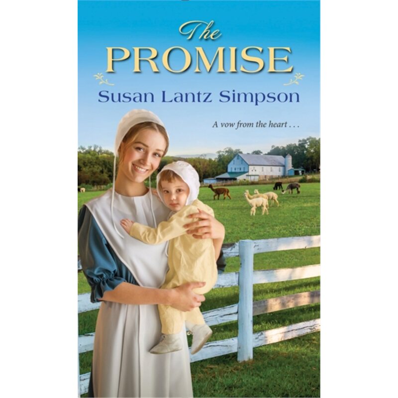 预订不退不换Promise[9781420146608]