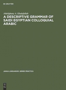 按需印刷DGYT A descriptive grammar of saidi Egyptian colloquial Arabic[9783111000664]