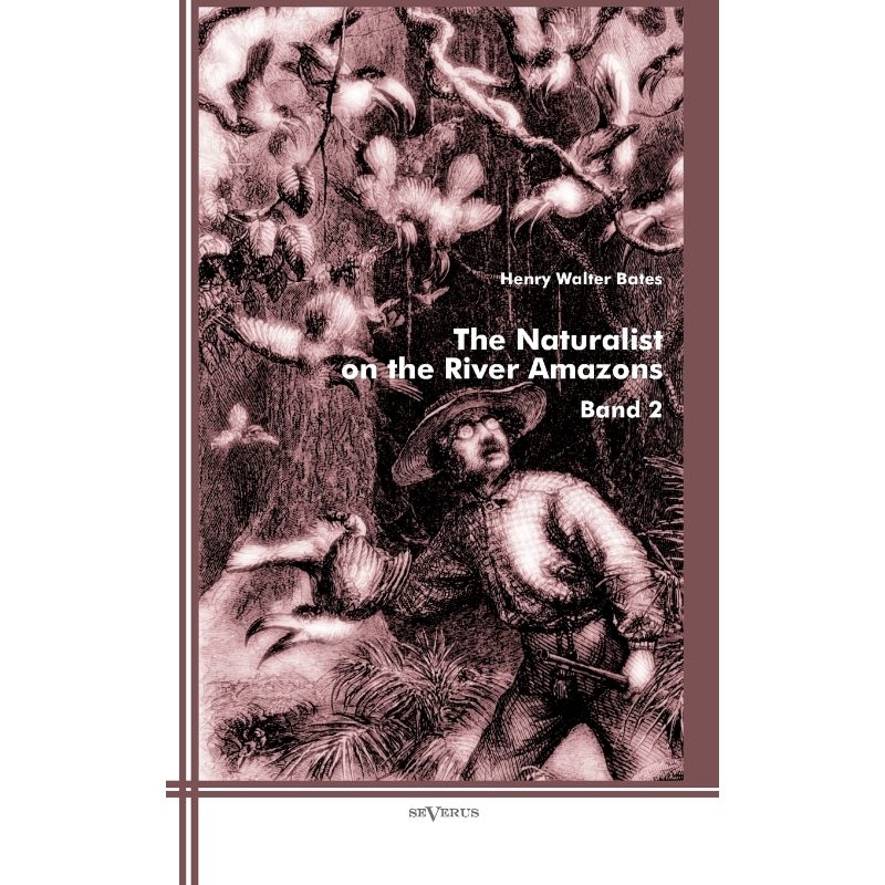 预订，预计下单后2-3周左右发货！