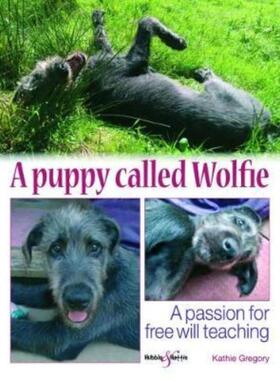 预订不退不换A puppy called Wolfie:A passion for free will teaching
