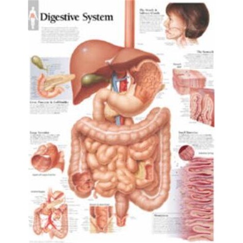 预订图书，下单后3-4周发货！