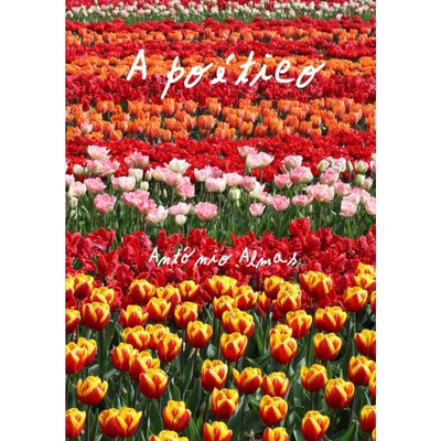 按需印刷不退不换POR A poético[9780244139476]