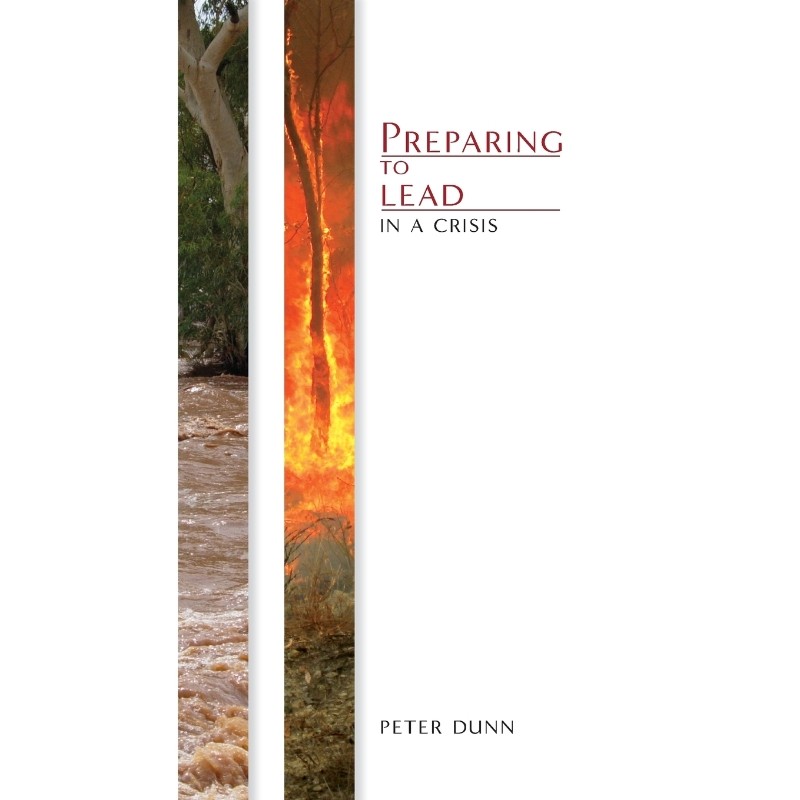 预订，预计下单后2-3周左右发货！