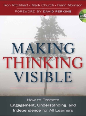 预订Making Thinking Visible[9780470915516]