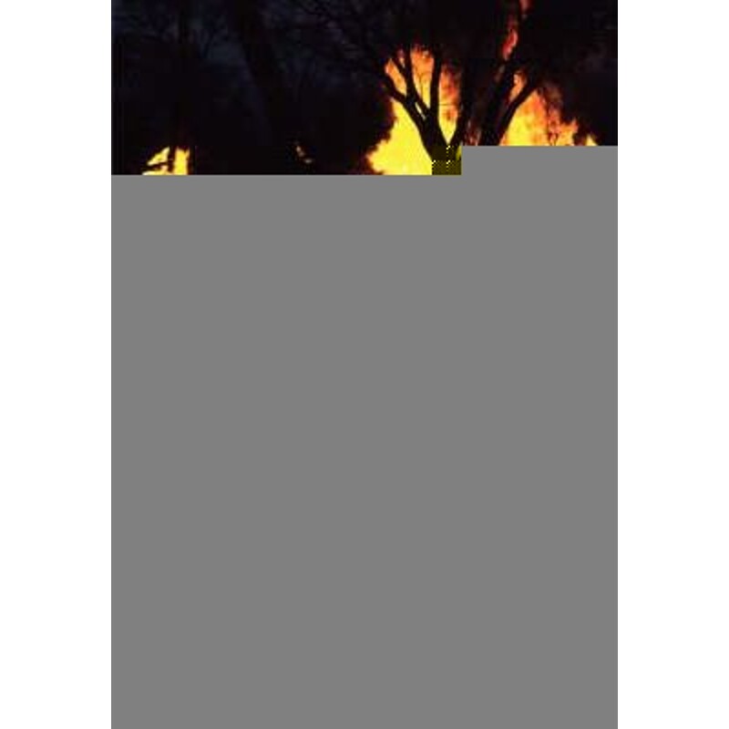 预订，预计下单后2-3周左右发货！