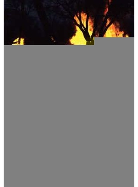 按需印刷不退不换Structural Fire Effects in the World's Savannas[9783836436649]