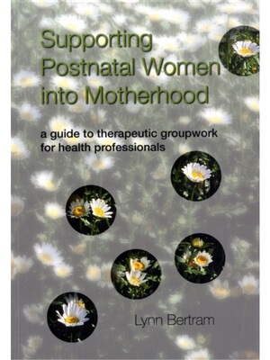 预订不退不换Supporting Postnatal Women into Motherhood