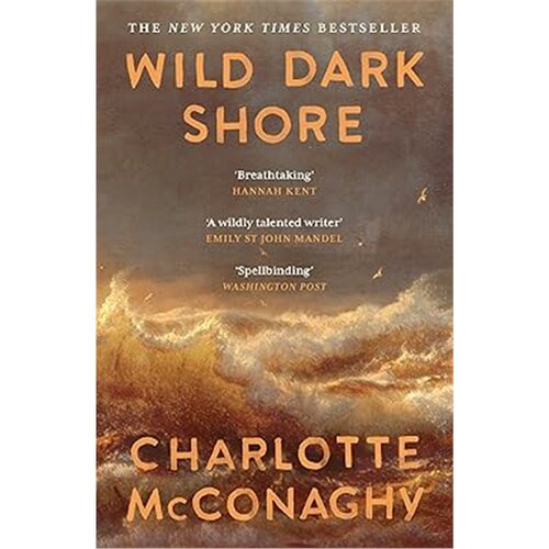现货Wild Dark Shore[9781837265923]上海外文