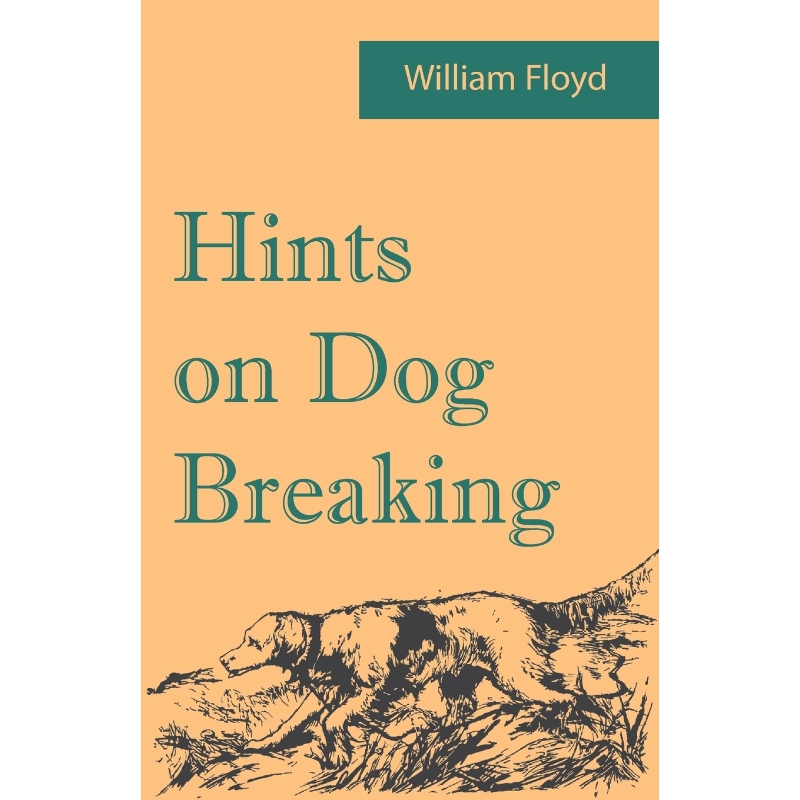 预订，预计下单后2-3周左右发货！