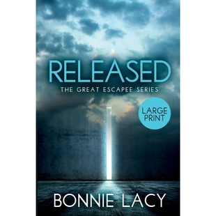 9781943647231 Print Large 按需印刷Released