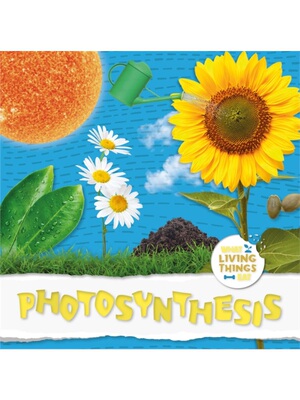 预订不退不换Photosynthesis