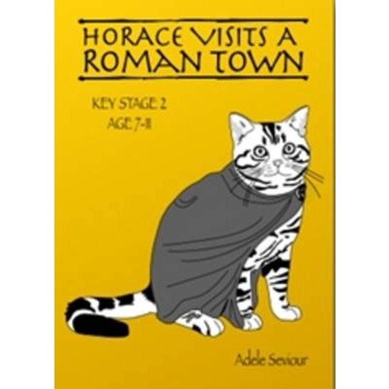 预订，预计下单后2-3周左右发货！