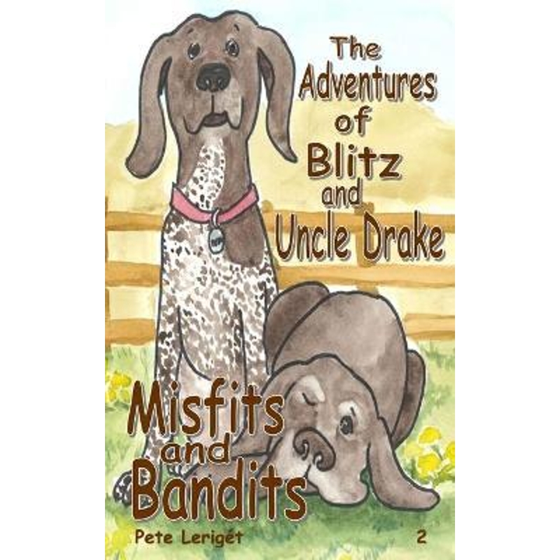 预订，预计下单后2-3周左右发货！