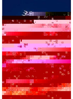 按需印刷Spectral Efficiency of Next Generation Mobile Communication Systems[9783836453325]