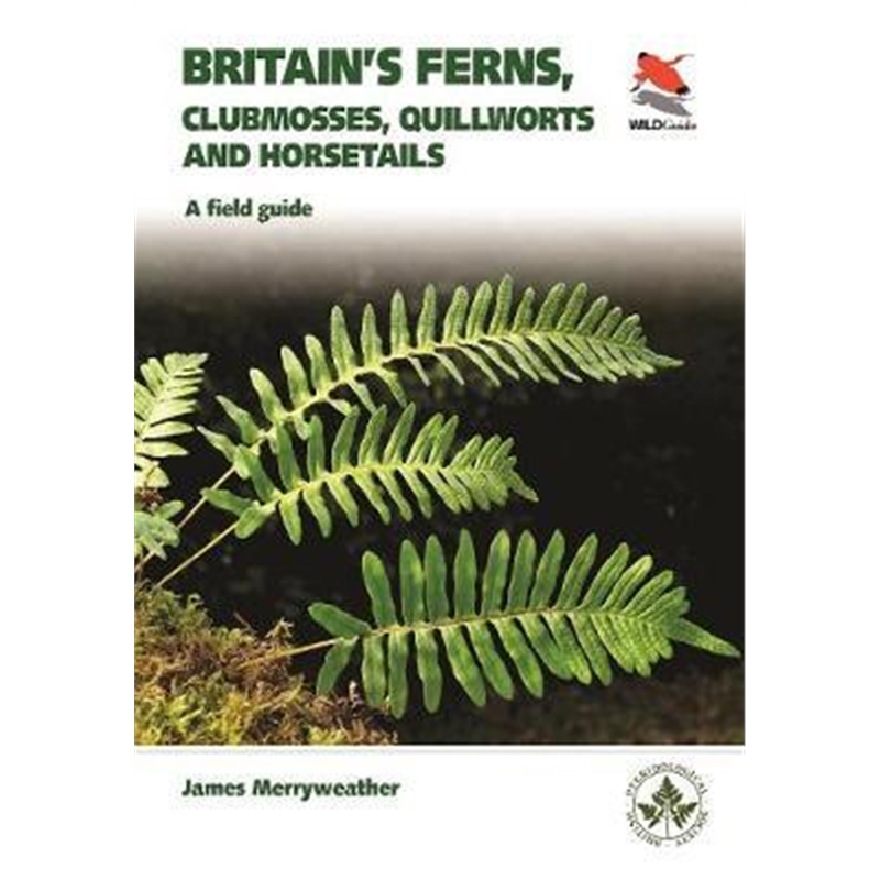 预订Britain's Ferns:A Field Guide to the Clubmosses, Quillworts, Horsetails and Ferns of Great Britain and Ireland