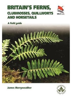 预订Britain's Ferns:A Field Guide to the Clubmosses, Quillworts, Horsetails and Ferns of Great Britain and Ireland