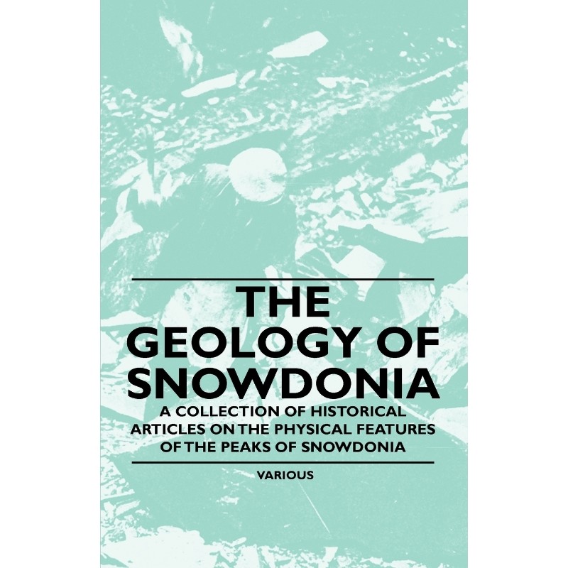 预订，预计下单后2-3周左右发货！