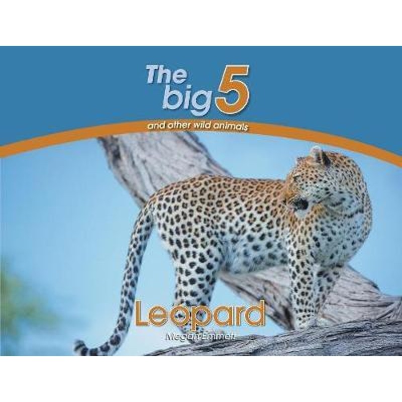 预订leopard:the big 5 and other wild animals