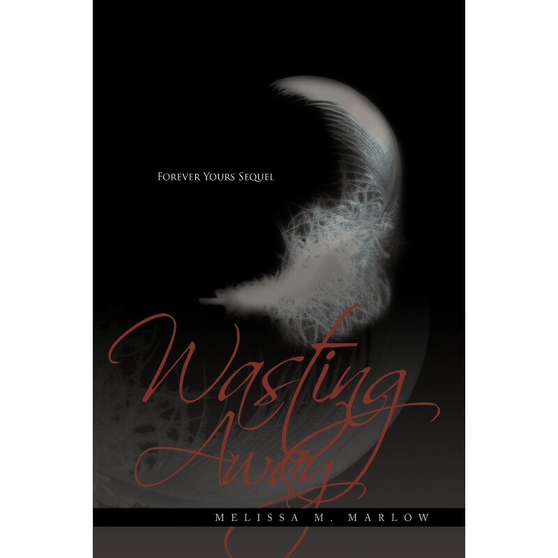 按需印刷不退不换Wasting Away[9781452093147]