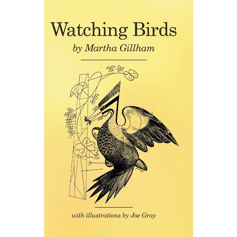 预订，预计下单后2-3周左右发货！