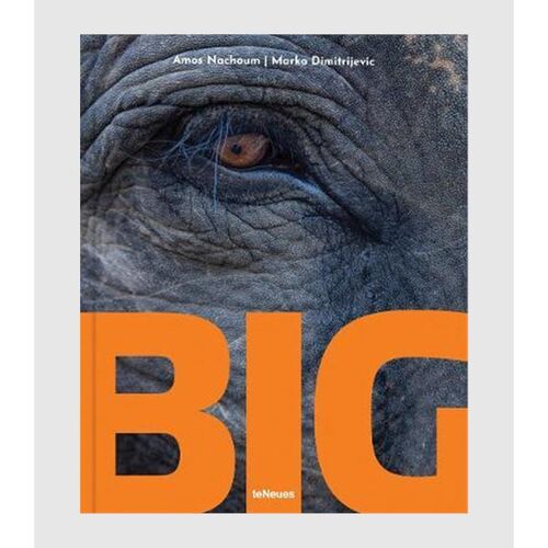 进口艺术 Big:A Photographic Album of the World's Largest Animals