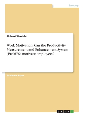 预订不退不换Work Motivation. Can the Productivity Measurement and Enhancement System (ProMES) motivate employees