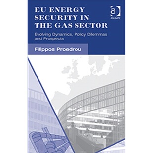 the Evolving Energy Pros 预订EU and Gas Security Policy Dynamics Sector 9781409438045 Dilemmas