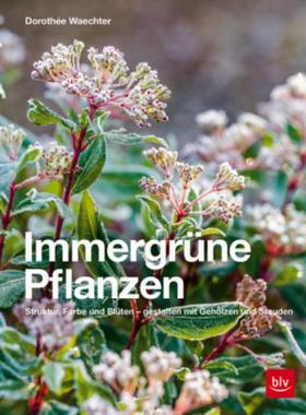 预订【德语】 Immergrüne Pflanzen:Struktur, Farbe und Blüten - gestalten mit Gehölzen u