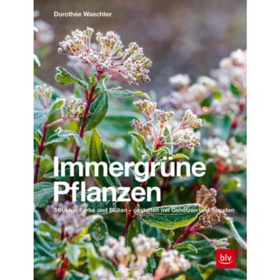 预订【德语】 Immergrüne Pflanzen:Struktur, Farbe und Blüten - gestalten mit Gehölzen u