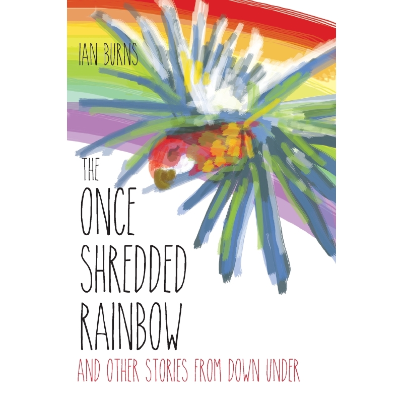 预订，预计下单后2-3周左右发货！