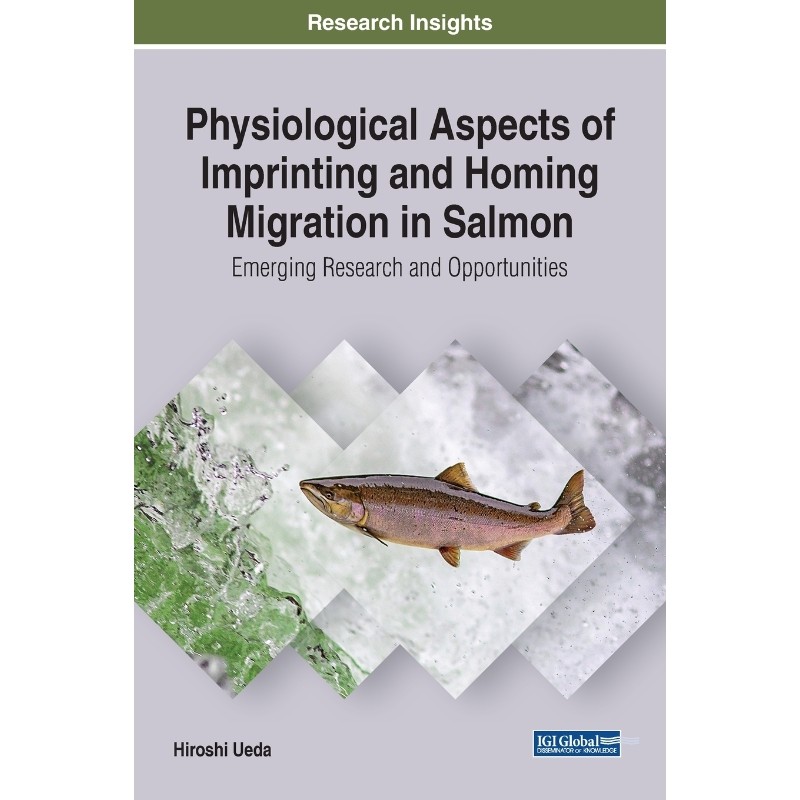 预订，预计下单后2-3周左右发货！