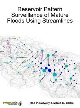 按需印刷Reservoir Pattern Surveillance of Mature Floods Using Streamlines[9781387318971]