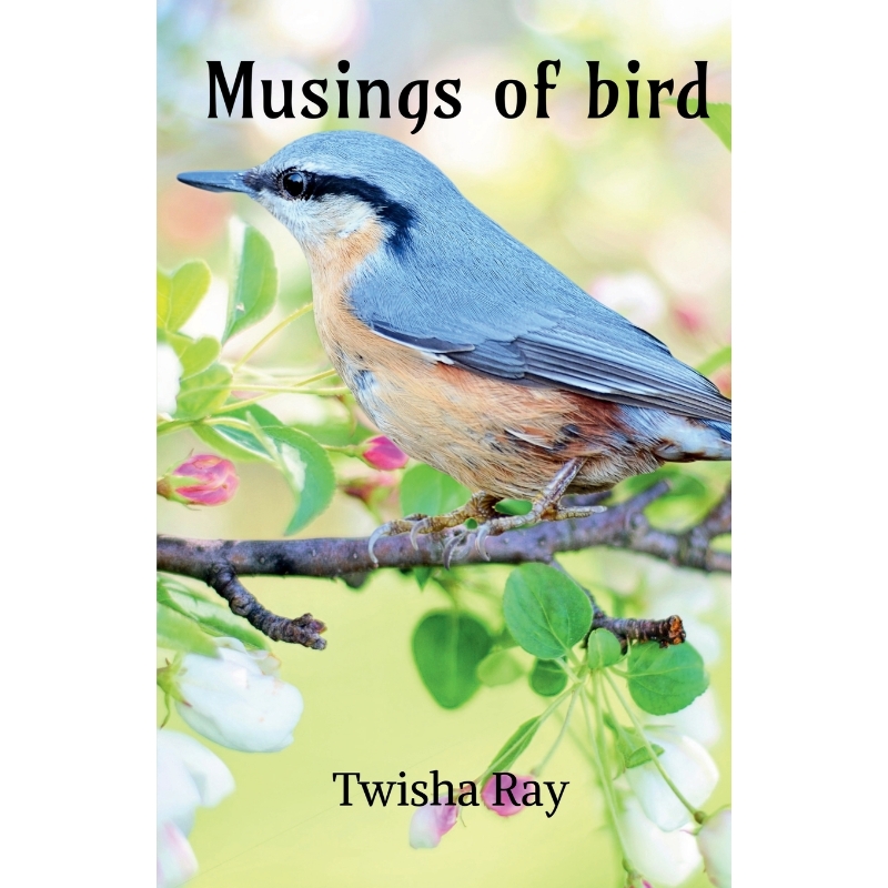 预订，预计下单后2-3周左右发货！