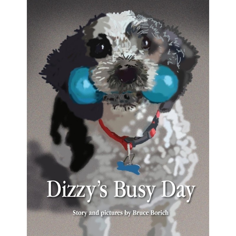 预订，预计下单后2-3周左右发货！