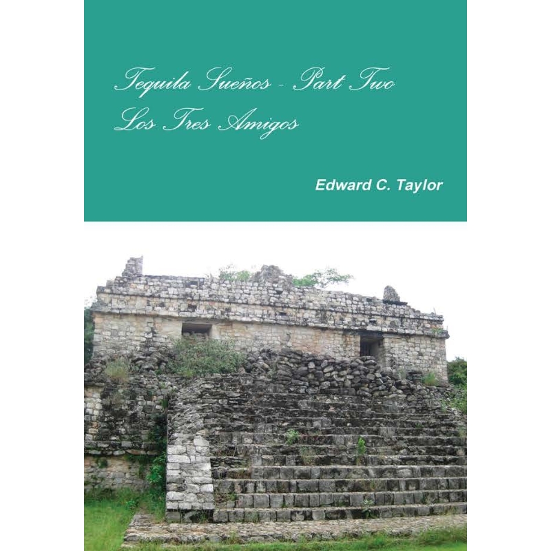 预订，预计下单后2-3周左右发货！