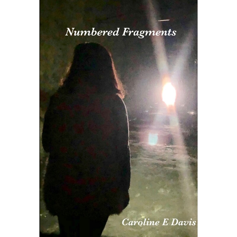 按需印刷不退不换Numbered Fragments[9780359745258]