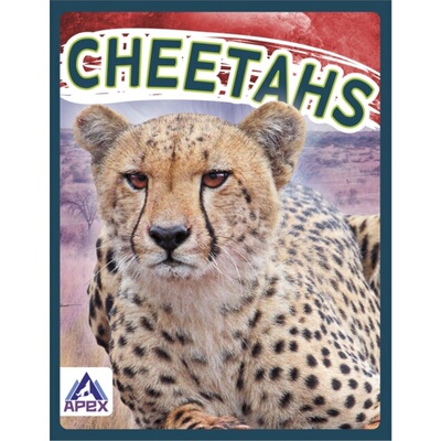 预订Cheetahs[9781637380284]